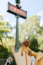 Load image into Gallery viewer, Miette Dress - Sunny Yellow