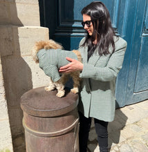 Load image into Gallery viewer, Ciboulette Dog Jacket - Giverny Green Checkered