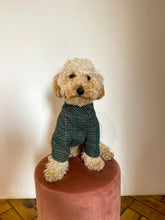 Load image into Gallery viewer, Ciboulette Dog Jacket - Green Checkered l'île Saint-Louis