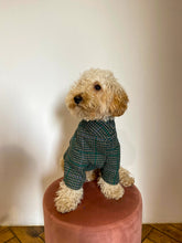 Load image into Gallery viewer, Ciboulette Dog Jacket - Green Checkered l'île Saint-Louis