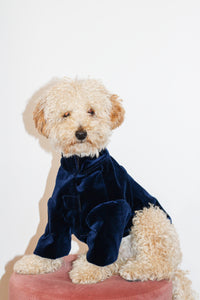 Jacket Ciboulette For Dogs - Midnight Blue St Germain